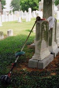 How Does a Gas Weed Eater Work?