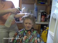 How Does Shampoo Clean Hair?