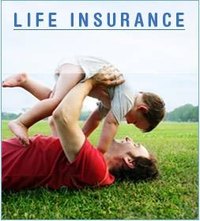 How Life Insurance Dividends Work