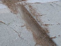 Concrete pavement can lift and be dangerous