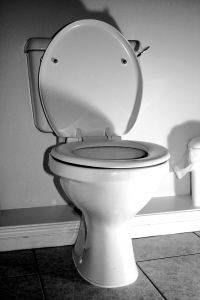 How Does a Dual Flush Toilet Work?