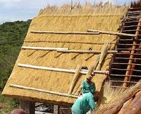 thatch roof half way finished - photo by Thatch-It.com
