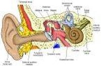 Dizziness from Ear Wax Build-Up
