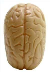 How Does a Seizure Occur?