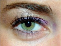 How to apply eyeliner & eye shadow