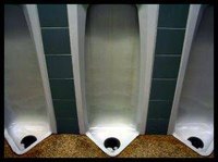 Urine Stain Removal