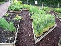 Materials for Building a Raised Vegetable Bed