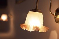 Light Fixtures Come in Many Shapes and Sizes