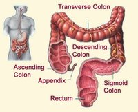 Common Colon Problems