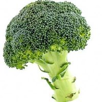 Broccoli Health Benefits