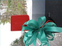 Bow tied to flag post