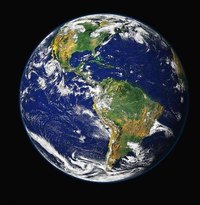 Some environmental groups are organized as non-profits.
