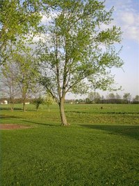 Earn Money on a Small Acreage