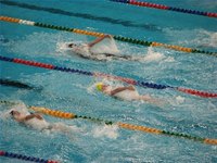 Home Remedies for Swimmer's Ear