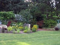 Kill Crabgrass in Centipede Lawns