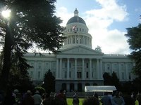 Starting a Lobbying Business