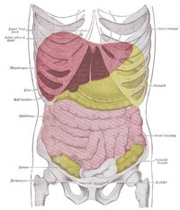Liver Cleanse Diet Flush