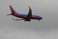 Cheap flights are available online and off.