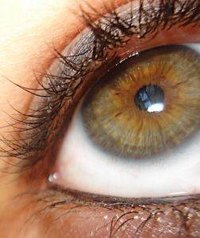 Make Eye Cream