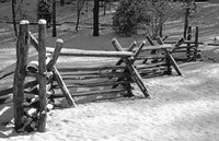 Old split rail fencing
