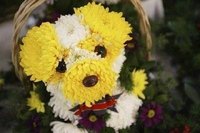Flower Puppy