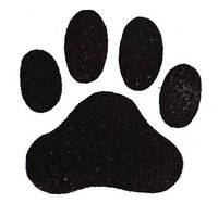 Draw Dog Paws