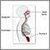 Reflux Esophagitis Symptoms