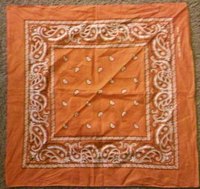 Wear a Bandana Fold
