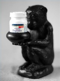 Stop a Cold Sore With Ibuprofen