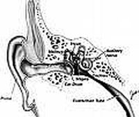 Stop Ears From Ringing