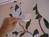 Removing Sanitas Wallpaper