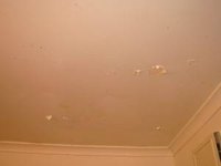 Get Peeling Paint Off a Ceiling