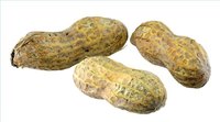 What Foods Contain Biotin?