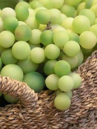 Make Artificial Fruit Decorations