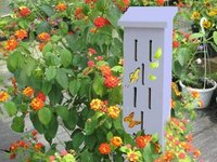 Where Do You Hang a Butterfly House?