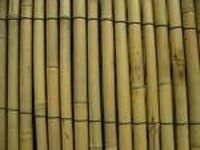 Bamboo Sticks for Outdoor Bamboo Blind