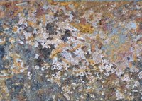 What Chemicals Kill Mold?