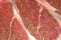 What Are the Different Beef Cuts?
