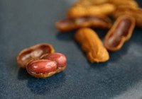 Eat Boiled Peanuts
