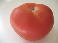 Start Tomato Seeds Indoors