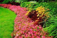 A well-designed flower bed