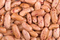 Types of Pinto Beans