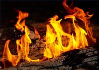 What Kind of Energy is Used in Burning Wood?