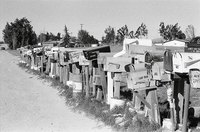 Help your mailbox stand out from the crowd in both safety and design