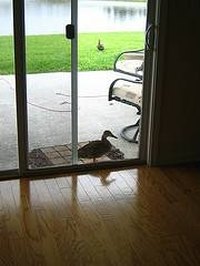 How to replace a lock in a sliding patio door