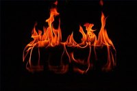 What Type of Wood Can One Burn in Fireplaces?