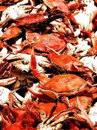 Cook Hard Shell Crabs