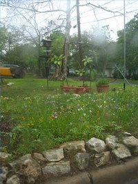 Get a Lawn Fertilizer License