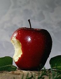 Foods You Can Eat on a Diabetic Diet