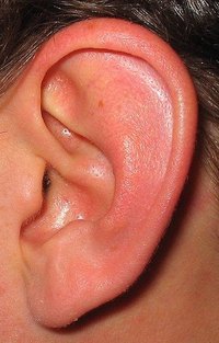 Clear Wax in Ears